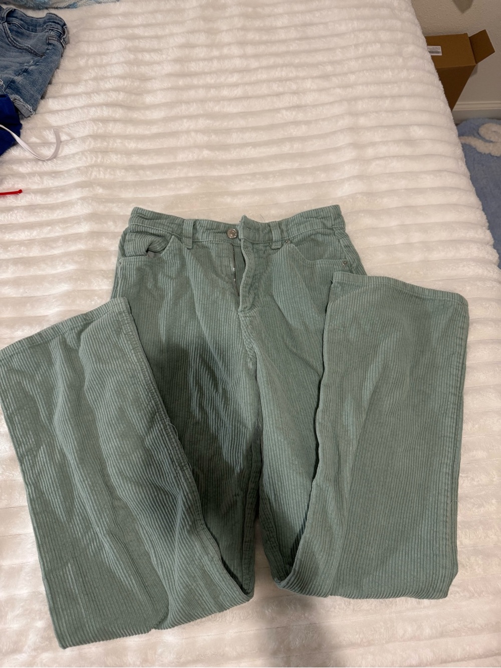 Forever 21 Sage Green Corduroy Pants